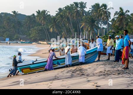 Fischer ziehen ein Boot auf den Strand in Arugam Bay an der Ostküste von Sri Lanka nach der Rückkehr von einer Nacht der Offshore-Fischerei. Stockfoto