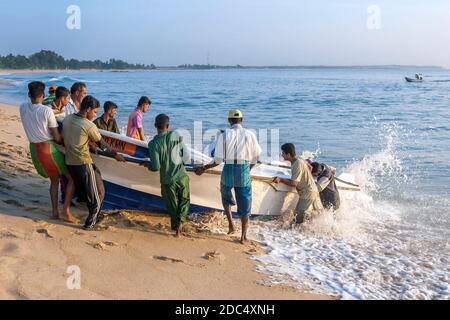 Fischer ziehen ein Boot auf den Strand in Arugam Bay an der Ostküste von Sri Lanka nach der Rückkehr von einer Nacht der Offshore-Fischerei. Stockfoto