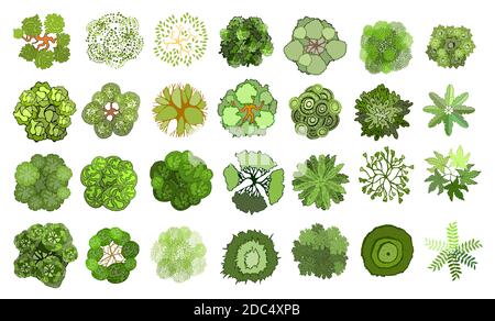 Set von farbigen handgezeichneten stilisierten Draufsicht Bäume und Pflanzen. Grafik, isoliert auf Weiß. Vektorgrafik. Elemente für Architektur und Landschaft Stock Vektor