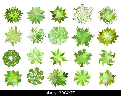 Set von farbigen handgezeichneten stilisierten Draufsicht Bäume und Pflanzen. Grafik, isoliert auf Weiß. Vektorgrafik. Elemente für Architektur und Landschaft Stock Vektor