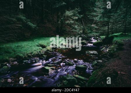 Der Fluss fließt durch den schönen Wald der Schlange Pass Im Peak District Stockfoto