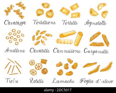 Handgezeichnet große Reihe von verschiedenen Arten von italienischen Pasta mit Namen. Vektorgrafik. Isoliert auf weiß, farbig. Stock Vektor