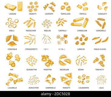 Handgezeichnet große Reihe von verschiedenen Arten von italienischen Pasta mit Namen. Vektorgrafik. Isoliert auf weiß, farbig. Stock Vektor