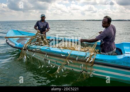 Fischer ziehen ihre Fischnetze im Indischen Ozean vor der Küste von Negombo im Westen Sri Lankas ein. Stockfoto