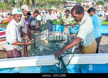 Fischer sortieren ihren Fischfang aus den Netzen am Strand von Arugam Bay in Sri Lanka, nachdem sie von einer Nacht beim Angeln zurückgekehrt sind. Stockfoto