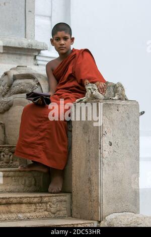 Ein Novize buddhistischer Mönch sitzt mit einer Katze auf der Treppe zu Mahavihara in der alten Stadt Anuradhapura in Zentral-Sri Lanka. Stockfoto