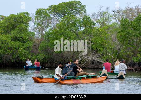 Ausländische Touristen genießen einen späten Nachmittag Ponton Bootsfahrt vorbei an Mangroven auf der Pottuvil Lagune an der Ostküste von Sri Lanka. Stockfoto