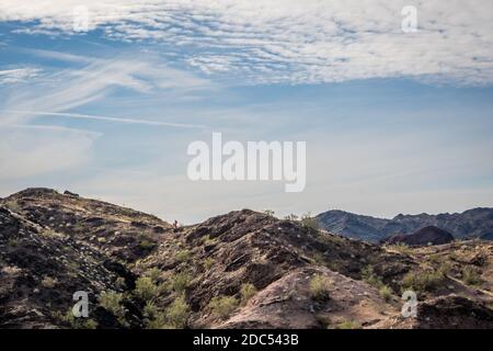 Ein Blick auf die Natur in Buckskin Mountain SP, Arizona Stockfoto