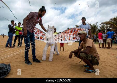 Ein fliegendes Pferd bereitet sich auf den Start vom Strand Negombo in Sri Lanka vor. Der Drachen war einer von vielen, die während des jährlichen Drachenfestes in den Himmel gingen. Stockfoto