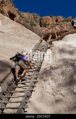 Ein lächelnder junger Mann klettert eine Holzleiter hinauf, die zu einem Höhleneingang an der historischen Stätte des Bandelier National Monument in New Mexico führt. Stockfoto