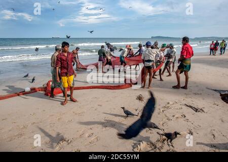 Strand seine-Fischer ziehen am späten Nachmittag ihre Netze auf den Uppuveli-Strand an der Ostküste Sri Lankas. Stockfoto