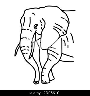 Elefantensymbol. Tropisches Tier Handgezeichnetes Icon Set Vektor. Stock Vektor