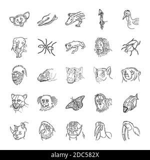 Tropische Tiere Handgezeichnetes Icon Set Vektor. Stock Vektor