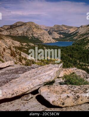 Granite Dome über Tenaya Lake, Yosemite National Park, Kalifornien Stockfoto