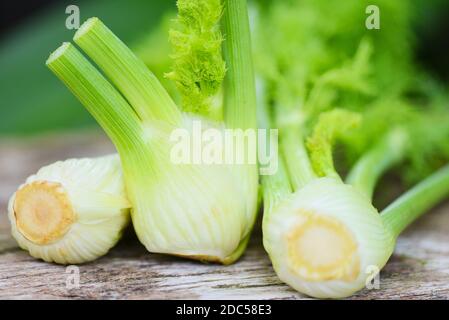 Fenchel Gemüse aus dem Garten, frische rohe Fenchel-Zwiebeln bereit, auf Lebensmitteln zu kochen Holz Natur grünen Hintergrund Stockfoto