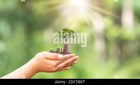 Pflanzen Sie die Sämlinge auf einem Haufen Münzen oder Geld in menschlichen Händen, einschließlich natürlicher grüner Hintergründe, landwirtschaftlicher Konzepte und Investitionen. Stockfoto