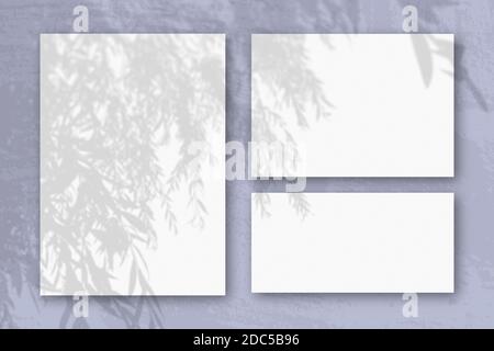 Mehrere horizontale und vertikale Blätter aus weißem strukturiertem Papier vor einem blauen Wandhintergrund. Mockup mit einer Überlagerung von Pflanzenschatten. Tageslicht Stockfoto