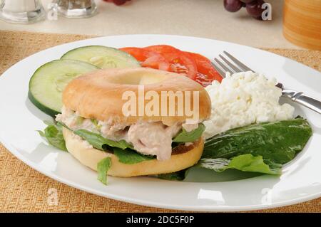 Tunafish Sandwich auf einem Bagel mit Quark und in Scheiben geschnitten Gurken und Tomaten Stockfoto