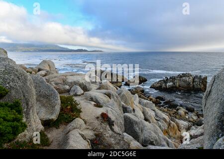 Landschaft von Pescadero Point mit Geisterbäumen entlang 17 Mile Drive in der Küste von Pebble Beach, Kalifornien Stockfoto