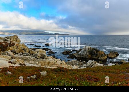 Landschaft von Pescadero Point mit Geisterbäumen entlang 17 Mile Drive in der Küste von Pebble Beach, Kalifornien Stockfoto