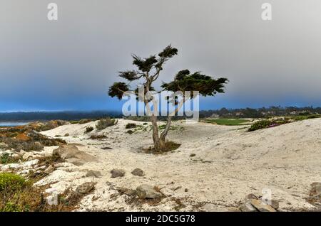 Landschaft der Spanish Bay entlang 17 Mile Drive an der Küste von Pebble Beach, Kalifornien Stockfoto