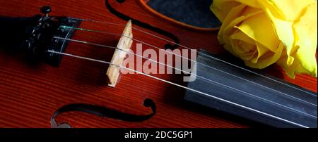 Geige und gelbe Rose auf schwarzem Hintergrund Stockfoto