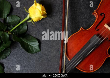 Geige und gelbe Rose auf schwarzem Hintergrund Stockfoto