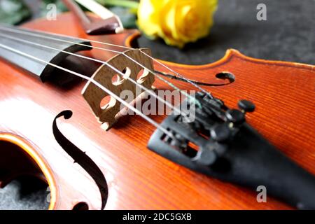 Geige und gelbe Rose auf schwarzem Hintergrund Stockfoto