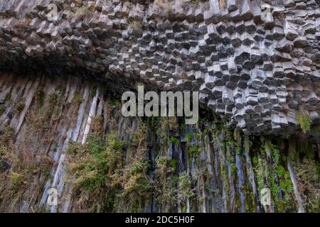 Felswände, die aus riesigen symmetrischen Sechseck- und pentagon-Basaltsäulen bestehen, die in der Garni-Schlucht in der Provinz Kotayk Armenia als „Symphonie der Steine“ oder „Basaltorgelpfeifen“ bezeichnet werden Stockfoto