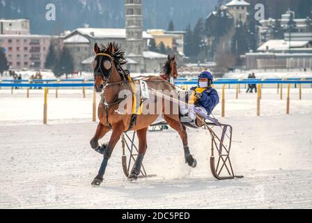 Einzelpferd bei einem Trabrennrennen während des White Turf in St.Moritz, Schweiz Stockfoto