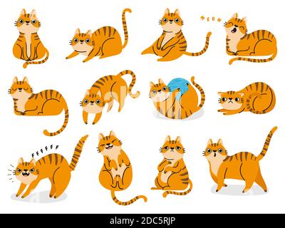 Katzenposen. Cartoon rot Fett gestreiften Katzen Emotionen und Verhalten. Tier Haustier Kätzchen verspielt, schlafend und verängstigt. CAT Body Language Vector Set Stock Vektor