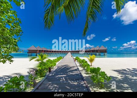 Schöner maledivische Insellandschaft Strand mit Wasservillen. Langer Steg unter Palmblättern, luxuriöses Reiseziel für den Sommer. Unglaublicher Urlaub Stockfoto