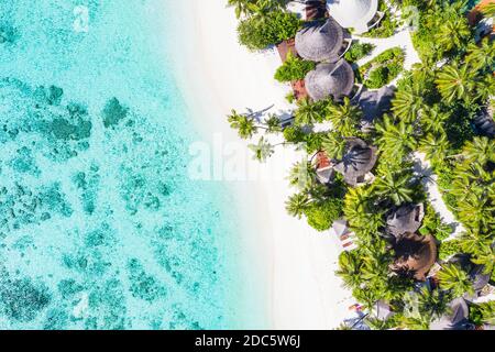 Luftaufnahme des wunderschönen tropischen Strandes der Malediven. Tolle Aussicht, blautürkisfarbenes Lagunenwasser, Palmen und weißer Sandstrand. Luxusreisen Stockfoto