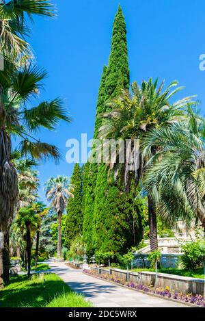 Schöne Gartengestaltung für Gasse im freien Erholungsgebiet. Stockfoto