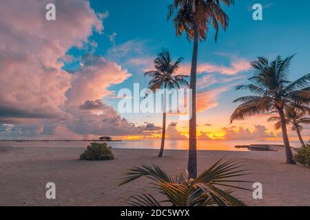 Kokospalmen am Sandstrand auf der tropischen Insel. Kunst schöner Sonnenaufgang über dem tropischen Strand, paradiesische Landschaft, romantisches Sommerziel Stockfoto