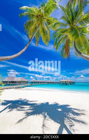 Malediven Strandresort Panoramalandschaft. Tropischer Urlaub am Strand. Langer hölzerner Pier, Steg in die paradiesische Insel, Palmen, weißer Sand, blauer Himmel Stockfoto