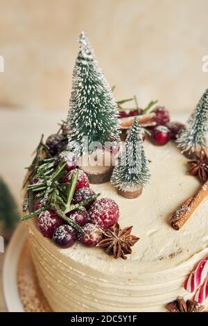 Eine vertikale Nahaufnahme eines Weihnachtskuchens mit schönen Dekorationen Stockfoto