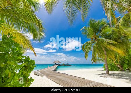 Malediven Strandresort Panoramalandschaft. Tropischer Urlaub am Strand. Langer hölzerner Pier, Steg in die paradiesische Insel, Palmen, weißer Sand, blauer Himmel Stockfoto