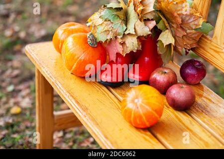 Rote Kinder-Gummistiefel gefüllt mit gelben Ahornblättern, orangefarbenen Kürbissen und reifen Äpfeln auf einer Holzbank. Herbsternte Stockfoto