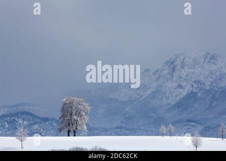 Geographie / Reisen, Deutschland, Bayern, Winter vor Herzogstand (Gipfel), Grossweil, am Kochel, Upp, Zusatz-Rechteklärung-Info-nicht-verfügbar Stockfoto