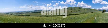 Panorama von grünen Feldern und Hügeln mit Landwirtschaft im Bezirk Suzak bei Kara-Alam in Kirgisistan. Stockfoto