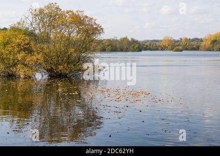 Blick über den Stockers See im Herbst. Rickmansworth, Hertfordshire, England, Großbritannien Stockfoto