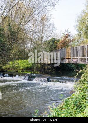 Wehr und Fußgängerbrücke auf dem Fluss Colne, Stockers Lake nature reseerve, Rickmansworth, Hertfordshire, England, Großbritannien Stockfoto