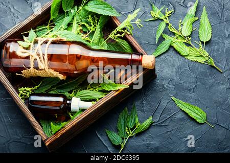 Brennnesselextrakt in der Flasche und frische Brennnesselblätter.Brennnesseln oder urtica medizinisches Kraut Stockfoto