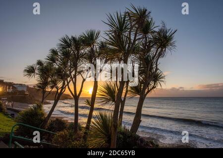 Langland Bay, Swansea, Großbritannien. November 2020. Atemberaubender Sonnenaufgang an der Langland Bay in der Nähe von Swansea heute Morgen. Quelle: Phil Rees/Alamy Live News Stockfoto