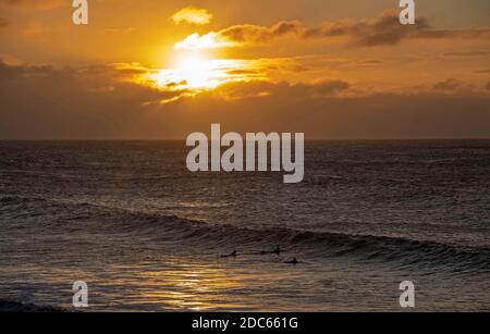 Langland Bay, Swansea, Großbritannien. November 2020. Surfer genießen das Wasser in Langland Bay in der Nähe von Swansea heute Morgen kurz nach Sonnenaufgang. Quelle: Phil Rees/Alamy Live News Stockfoto