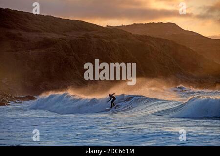 Langland Bay, Swansea, Großbritannien. November 2020. Surfer genießen das Wasser in Langland Bay in der Nähe von Swansea heute Morgen kurz nach Sonnenaufgang. Quelle: Phil Rees/Alamy Live News Stockfoto