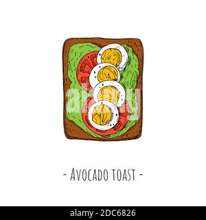 Avocado Toast mit Tomatenscheiben und in Scheiben geschnittenen gekochten Eiern. Draufsicht. Vektorgrafik Cartoon-Illustration. Isoliertes Objekt auf weißem Hintergrund. Handgezeichneter Stil Stock Vektor