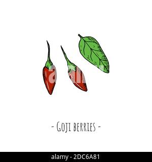 Goji-Beeren. Vektorgrafik Cartoon-Illustration. Isolierte Objekte auf weißem Hintergrund. Handgezeichneter Stil. Stock Vektor