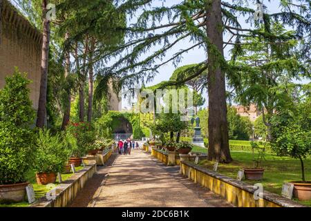 ROM, Vatikanstadt/Italien - 2019/06/15: Botanischer Gartenteil der Vatikanischen Gärten im Staat Vatikanstadt Stockfoto
